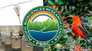 PBRC Featured In Voice Of The Sea